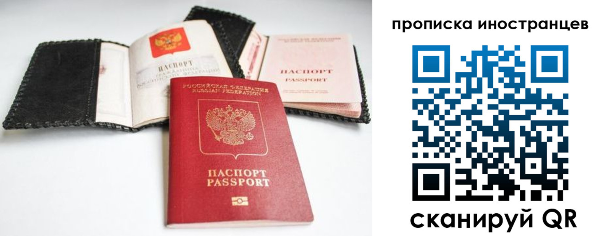 прописка паспорт в Жукове